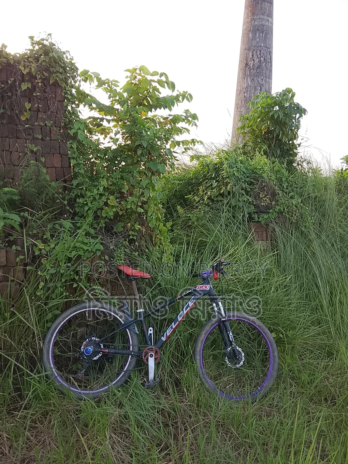 Veloce Stunt Cycle