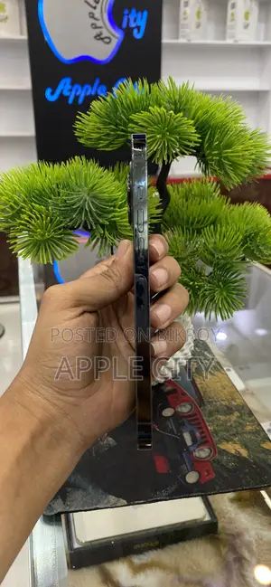 Apple iPhone 13 Pro Max 256 GB Blue