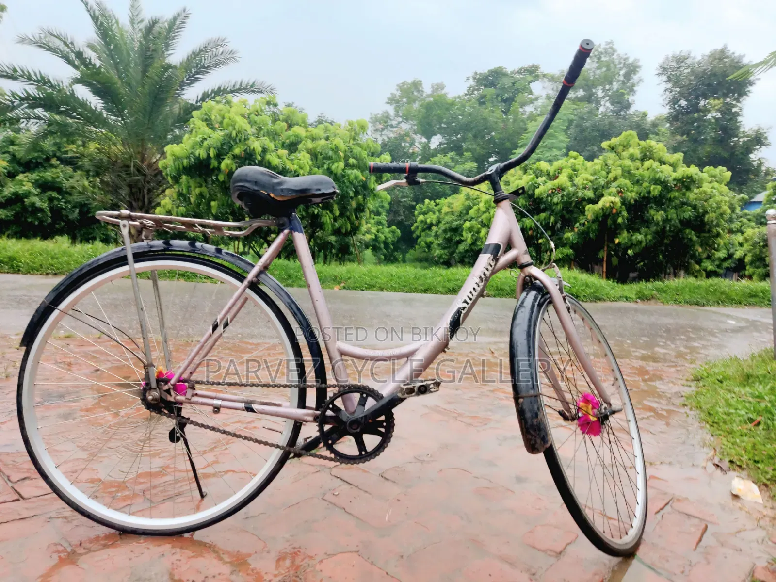 Ladies 27" Full Serviced Cycle – Elegant Perfect for Office |