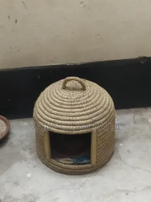 Cat / Bird House