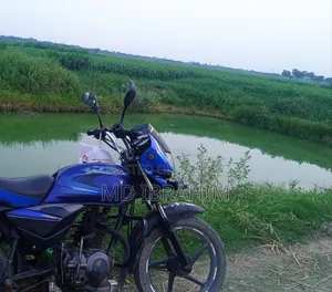 Bajaj Platina 110 2016 Green