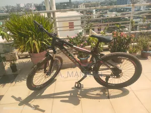 Marine Bicycle