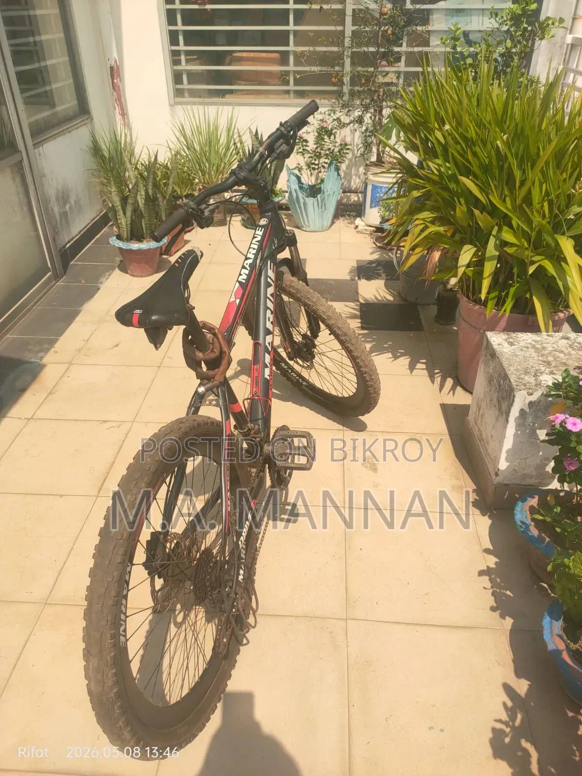 Marine Bicycle
