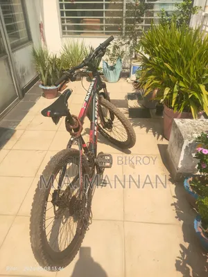 Marine Bicycle