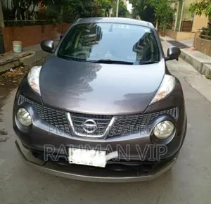 Nissan Juke 2011 Gray