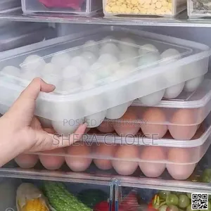 Egg Storage Box 24 Grids Plastic