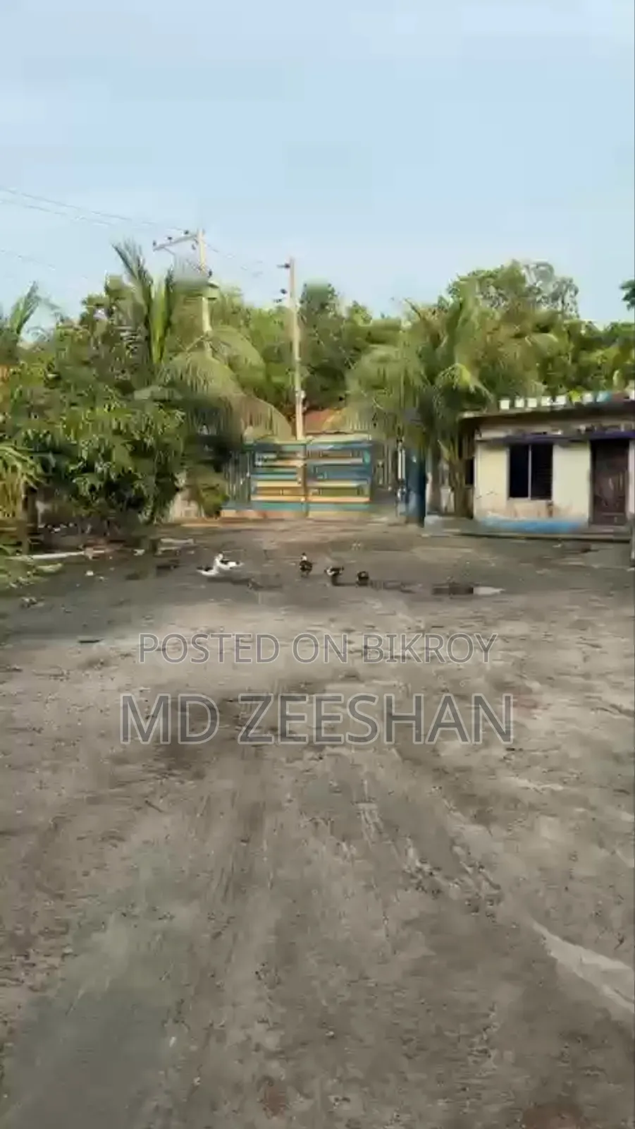 1 Bigha land for sale (33 decimals)