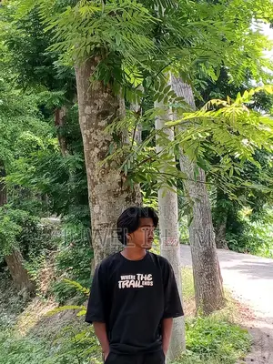 অনলাইন এবং অফলাইন চাকরির প্রয়োজন