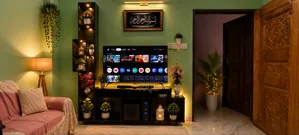 Singer Google Voice Control TV