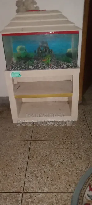 আমার ফার্নিচার ভালো কোন প্রবলেম নাই