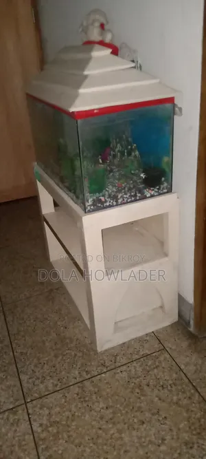 My Furniture, No Problems