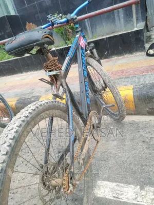 Cycle Non-Gear