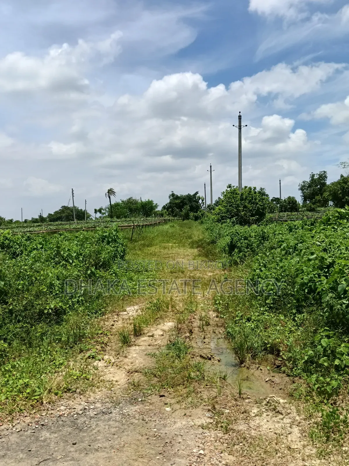 Rajuk Purbachal Sector-10
