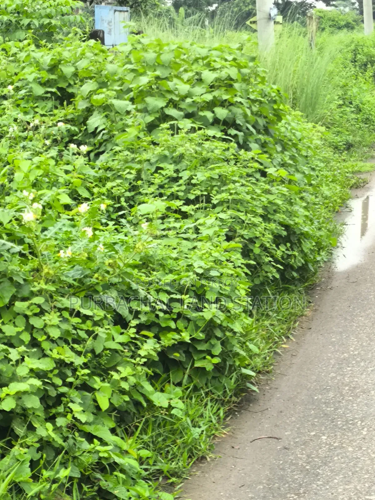 Near Moyzuddin Square East 5 Katha Plot Sale Sector:15, Purbachal.