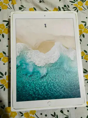 অ্যাপল আইপ্যাড প্রো ১২.৯ (২০১৭) ২৫৬ জিবি