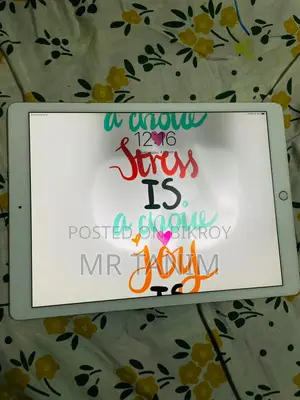 অ্যাপল আইপ্যাড প্রো ১২.৯ (২০১৭) ২৫৬ জিবি