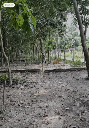 Some plots for sale at Ghurulia Saddam More