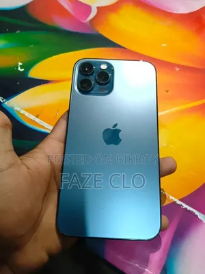 Apple iPhone 12 Pro Max 256 GB Gray