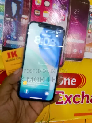 Apple iPhone 12 Pro 256 GB Gray