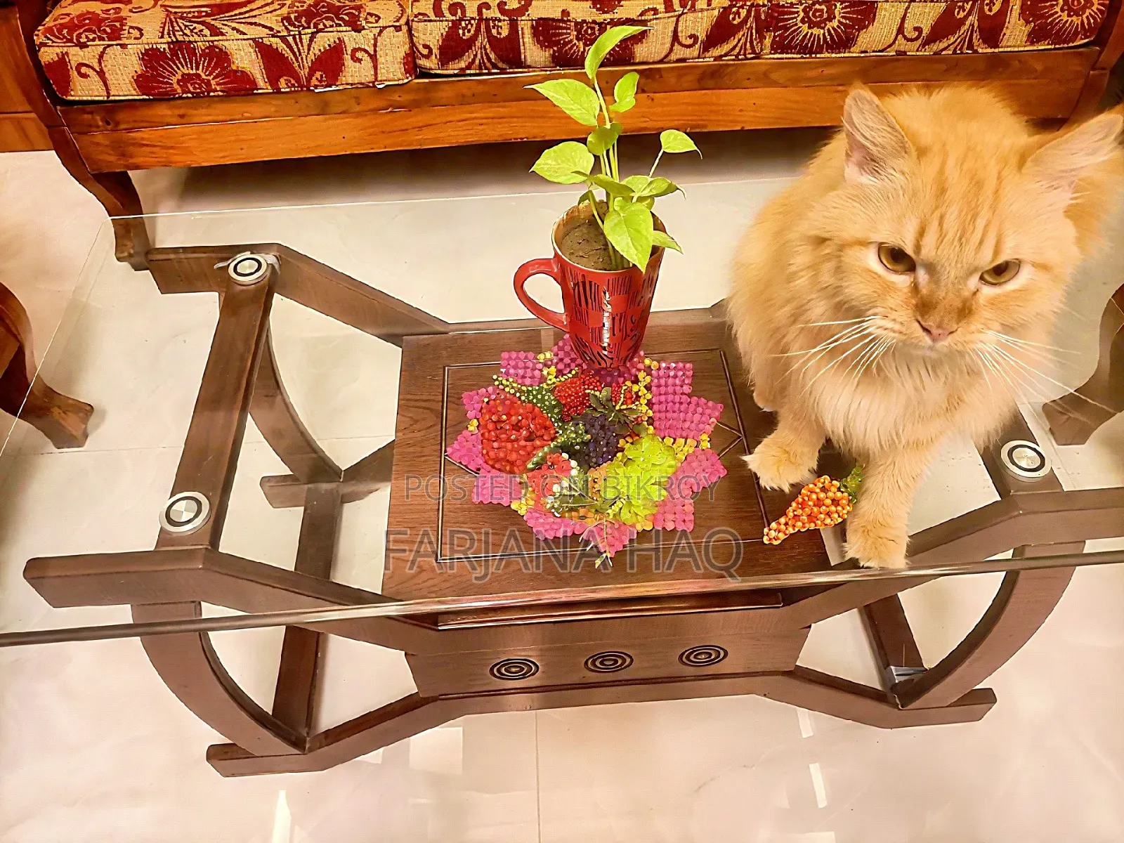 Shishu Wood Royal Sofa Set ( Hand-Made ) | Free Center Table