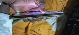 অ্যাপল আইফোন এক্সএস ম্যাক্স ২৫৬ জিবি অরেঞ্জ