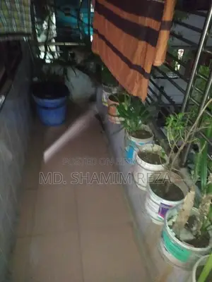 1 bedroom Room & Parlour in Mirpur-2 for rent