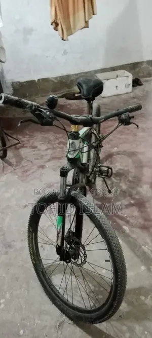 Phonix Duranta Baysaikal