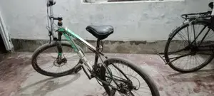 Phonix Duranta Baysaikal