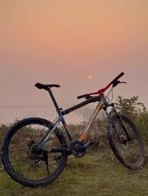 Nekro Cycle