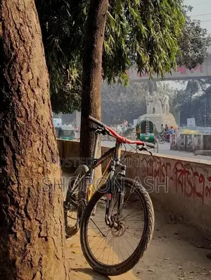 Nekro Cycle
