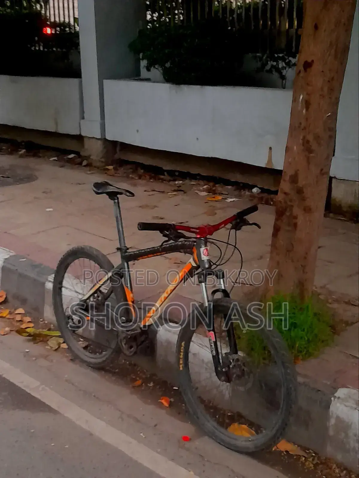 Nekro Cycle