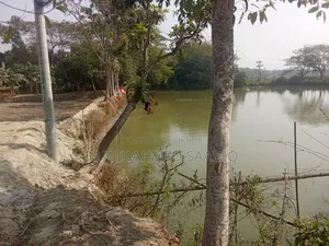 Fishery Farm