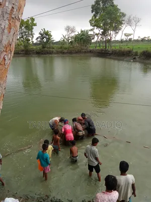 Fishery Farm