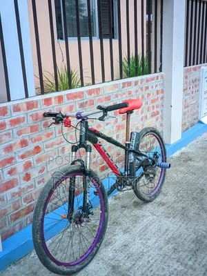 Stunt Cycle