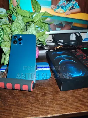 Apple iPhone 12 Pro Max 256 GB Blue