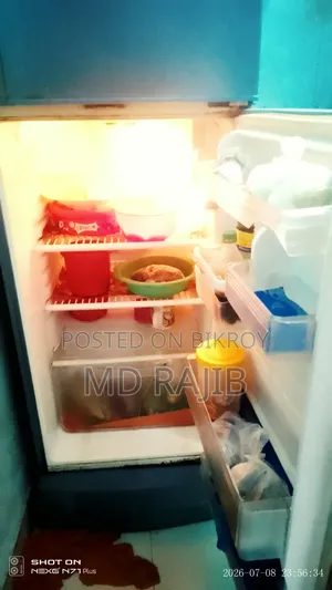 My fridge is absolutely fresh, no mechanical work has been done