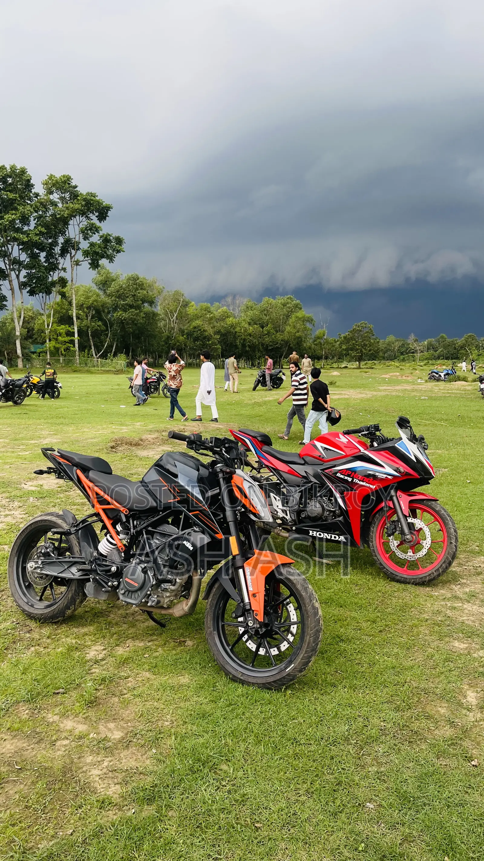 Honda CBR 2019 Red