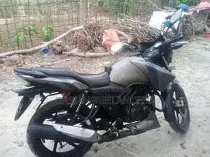 TVS Apache RTR 160 2V 2015 Gray