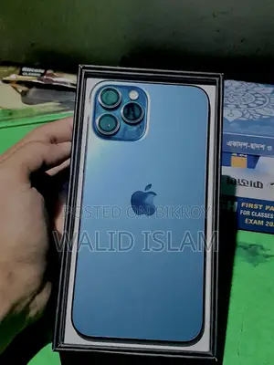 Apple iPhone 12 Pro Max 256 GB Blue