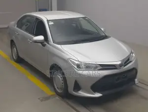 Toyota Axio 2021 Silver