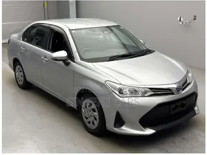 Toyota Axio 2021 Silver