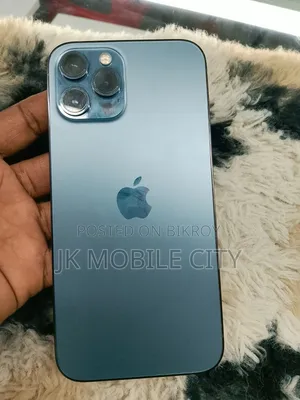 Apple iPhone 12 Pro Max 256 GB Gray