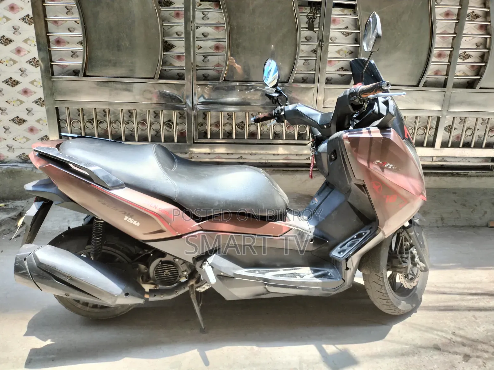 Znen T10 2023 Brown