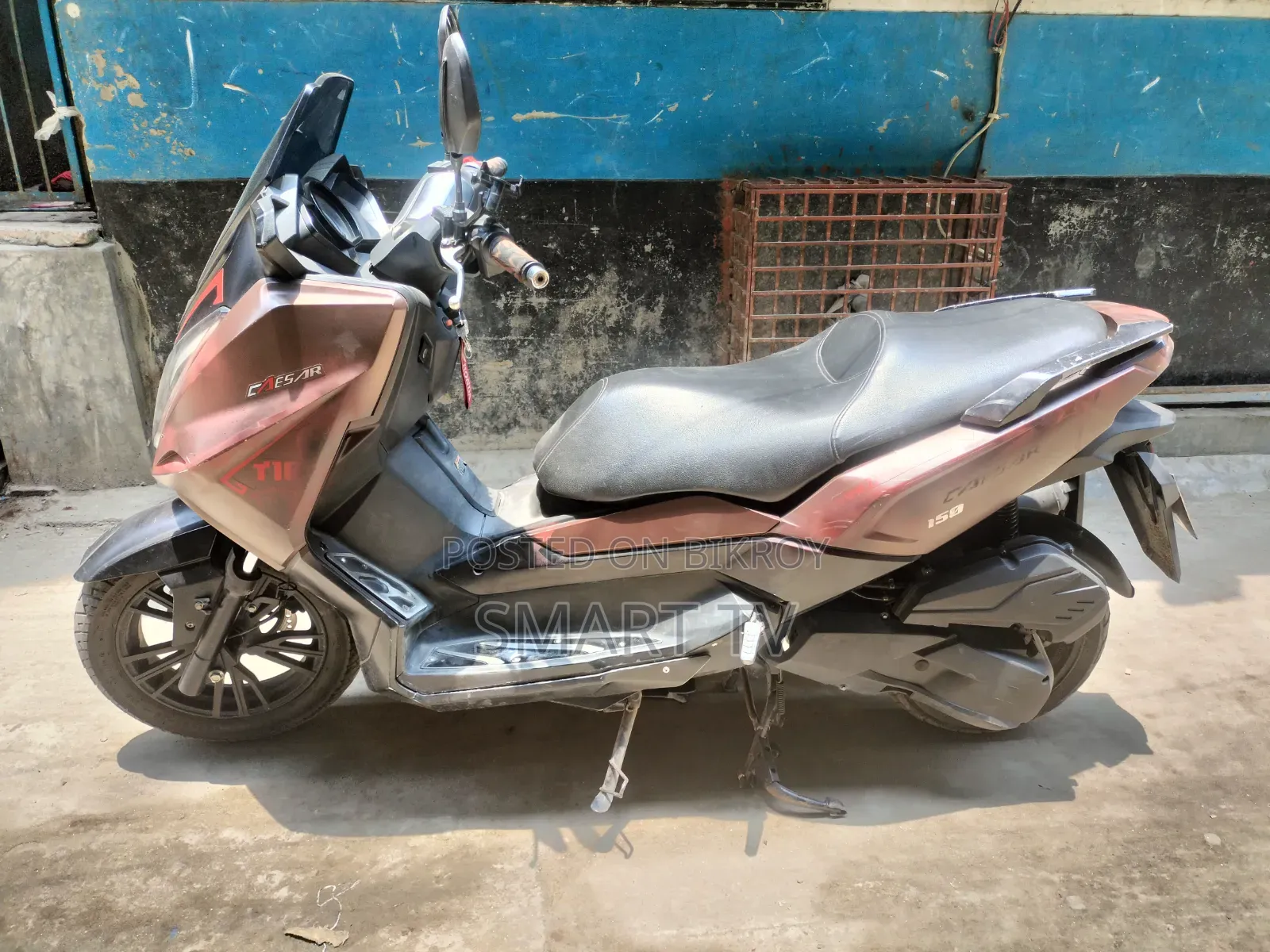 Znen T10 2023 Brown