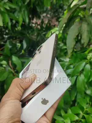 অ্যাপল আইফোন ১৬ প্রো ম্যাক্স ২৫৬ জিবি রোজ গোল্ড