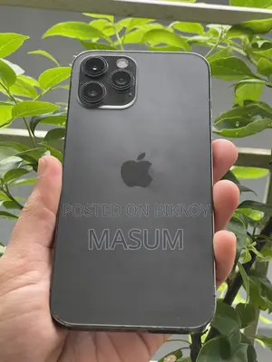 Apple iPhone 12 Pro Max 256 GB Silver