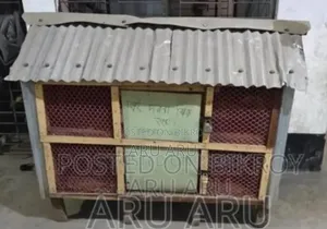 একটা নতুন খাঁচা
