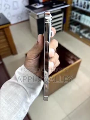 Apple iPhone 13 Pro Max 256 GB White
