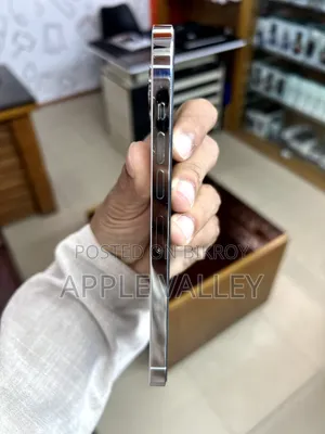 Apple iPhone 13 Pro Max 256 GB White