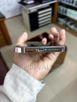 Apple iPhone 13 Pro Max 256 GB White